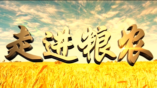 4分鐘，閱讀奮斗崛起中的糧農(nóng)集團！